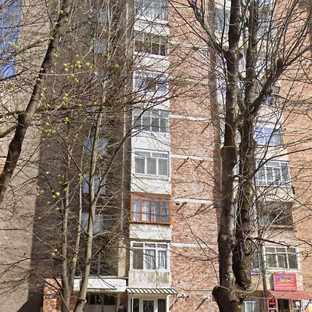 Studio Hunedoara Zewnętrze zdjęcie