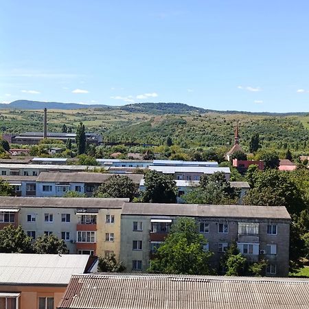 Studio Hunedoara Zewnętrze zdjęcie