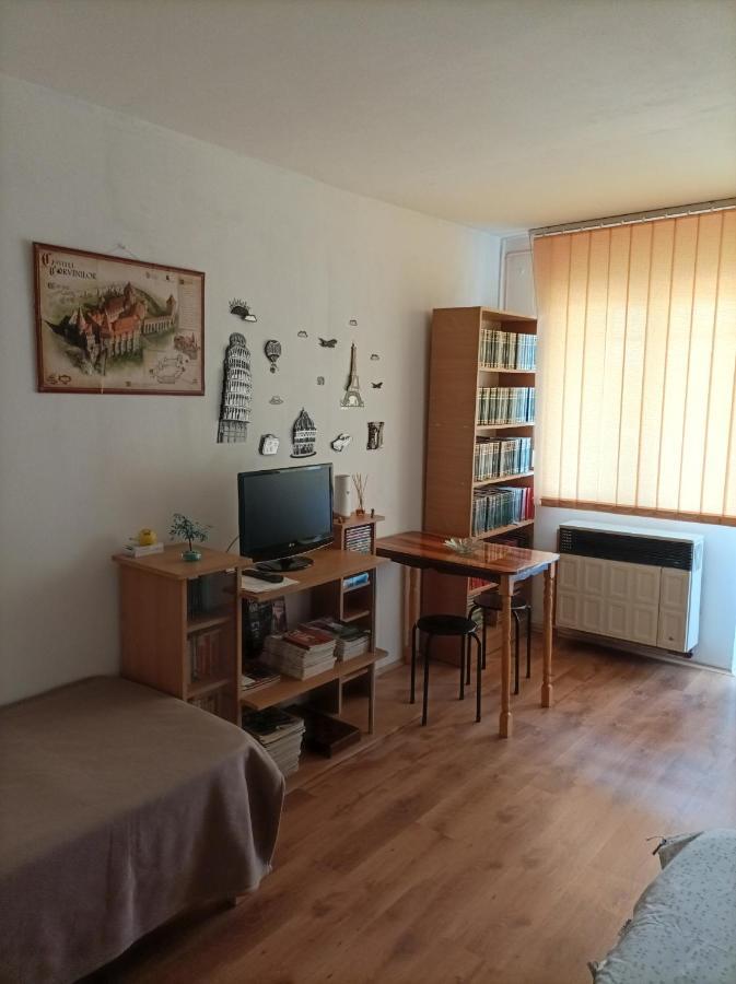 Studio Hunedoara Zewnętrze zdjęcie